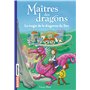 Maîtres des dragons, Tome 16 6,36 €