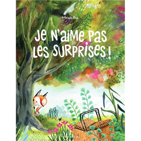 Je n'aime pas les surprises ! 12,62 €