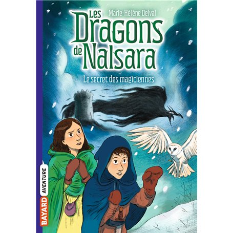 Les dragons de Nalsara, Tome 07 6,36 €