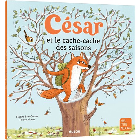 CESAR ET LE CACHE CACHE DES SAISONS