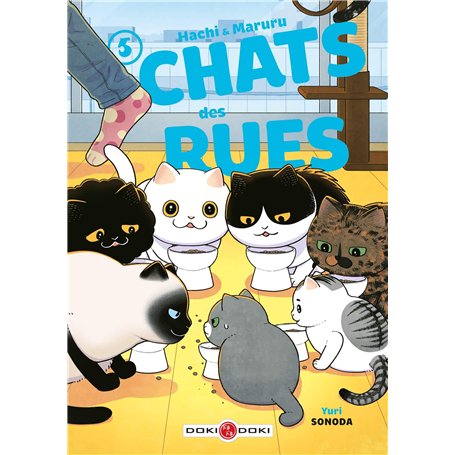 Hachi & Maruru - Chats des rues - vol. 05