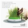 Catit Kit Herbe à Chat 3 Pièces