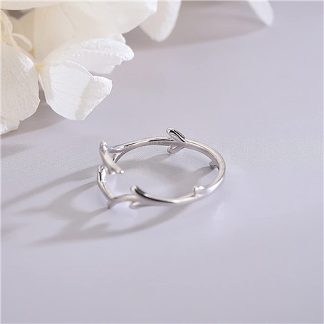 Charles Ives-Samuel Barber : Œuvres pour Piano