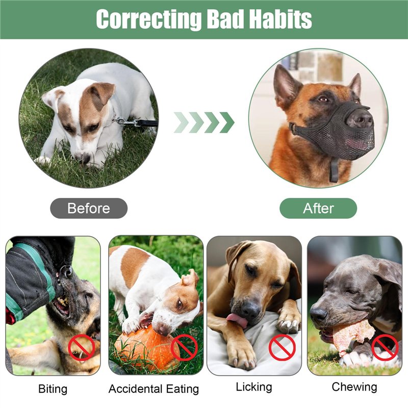 Simplicity US8875H5 Patron de Couture S8875 Robes pour Femme