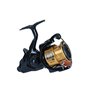 DAIWA 20 GS BR LT 4000-C