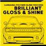 MEGUIAR'S G7016 Gold Class Carnauba Plus, Cire Liquide Premium 473 ML (16 Oz)