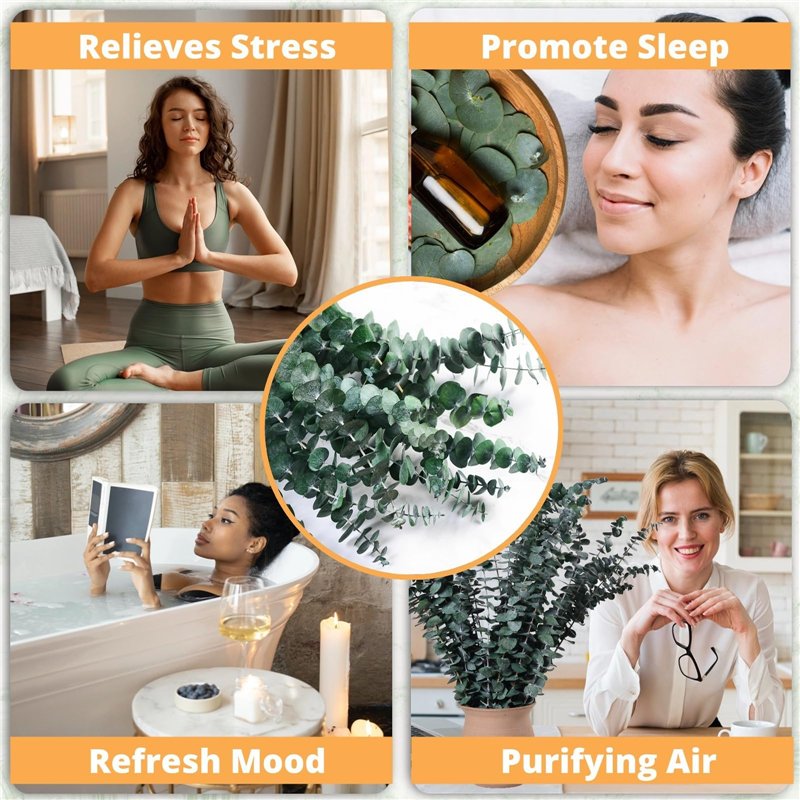 GinTai Remplacement du câble d'alimentation PCI-E 6 broches 1 à 3 SATA 15 broches Corsair CX850M CX750M CX600M