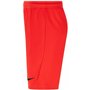 Short de Sport pour Enfants Nike DRI FIT PARK III BV6865 635 Rose