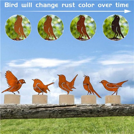 Chaussures de Running pour Adultes Salomon Thundercross Gris foncé