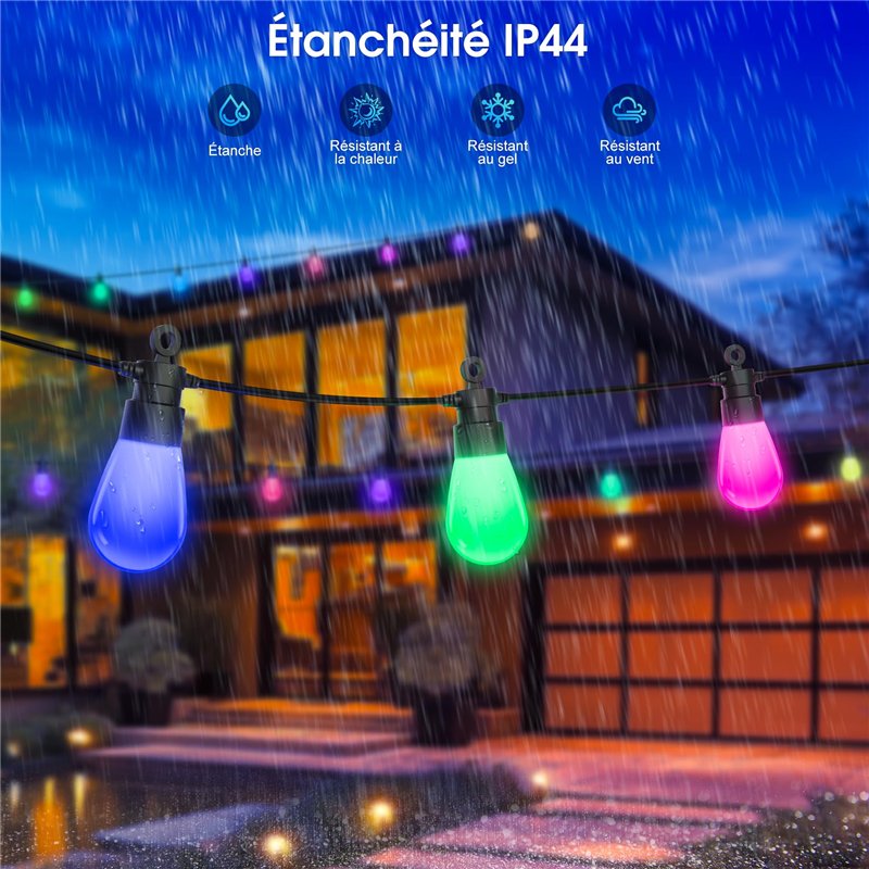 VEVOR Presse à Tortillas en Fonte Résistant 20 cm Appareil Chapati Manuel Presse à Burrito avec 100 Feuilles de Papiers Suppléme