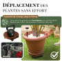 Homingrove Porte Plante a roulettes 2X 30 cm – Support de Pot de Fleurs à roulettes FSC, 100 kg, Extérieur & Intérieur – Chariot