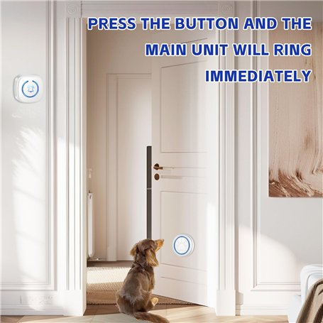 Amison Lot de 100 bonnets de douche jetables en plastique pour salon