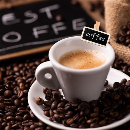 Klaxon Sirène Haut Parleur Puissant avec Mic