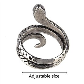 Disney La Reine des neiges II, Expédition en forêt, 4 poupées