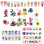 EMAGEREN 3 Pcs Fleur Séchée Ongle Deco Ongle Gel Printemps Fleurs Séchées Naturelles Colorée 18 * 13 * 1,2 cm pour Art Ongles Pa