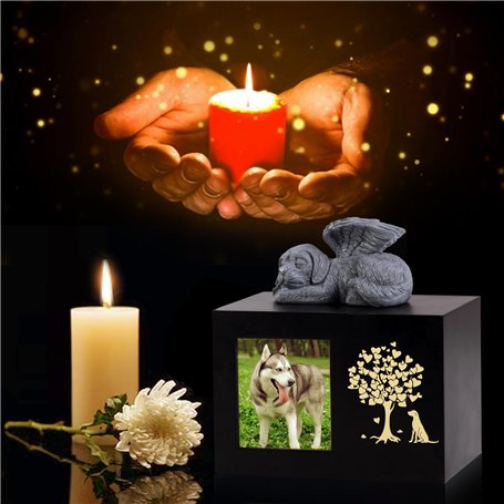 NXPZ 1200W Défroisseur Vapeur, Fer à Repasser Vapeur 2-en-1 Portable, Fer à Repasser de Voyage avec Réservoir 150 ml et 3 Niveau