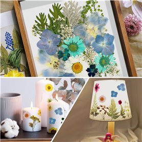 NECA Figurine Frankenstein Monster Colour 18Cm