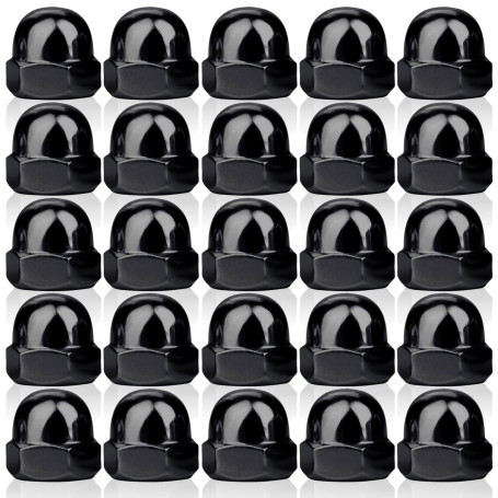 25 Pièces Écrou Borgne M10