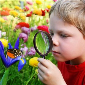 6PCS Tube de Rouge à Lèvres en Bambou 5ML Contenants Vides de Baume à Lèvres, Pot de Rouge à Lèvres avec 3 Pelles et Burette, Tu