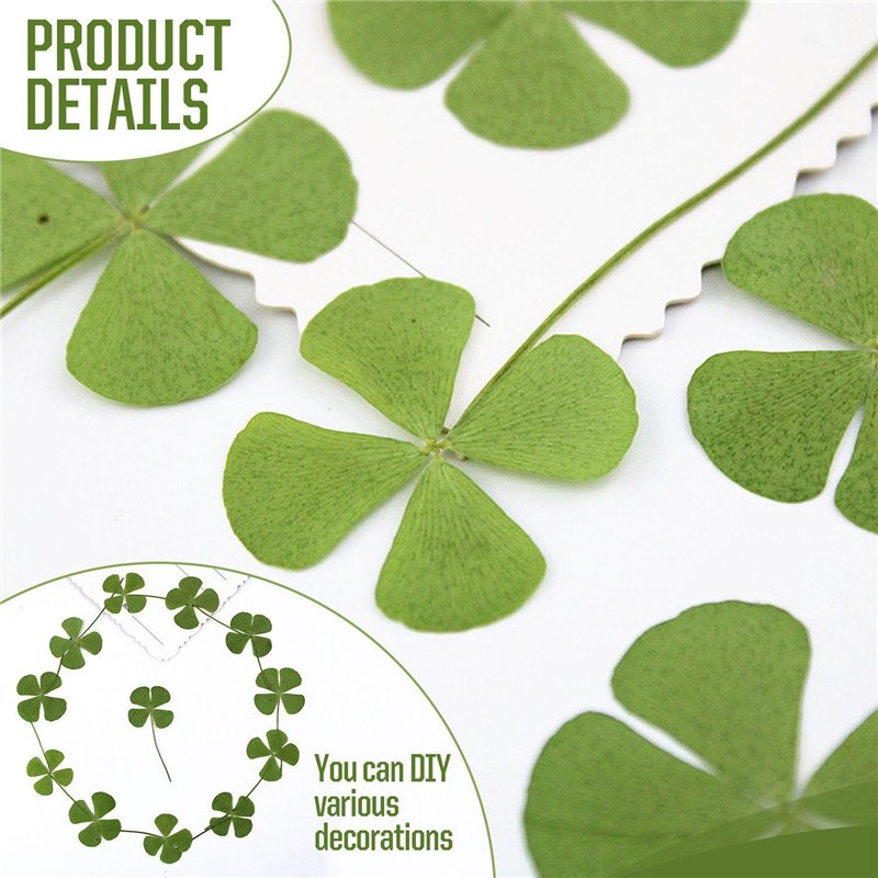 Fututech 4pcs Vis pour Xiaomi M365 Pro Pro2 1S Mi3 Vis de Remplacement pour Segway Ninebot Max G30 ES série F Accessoires Pièces