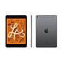 2019 Apple iPad Mini (7,9-pouces, Wi-Fi + Cellulaire, 256 Go) Gris Sidéral (Reconditionné)
