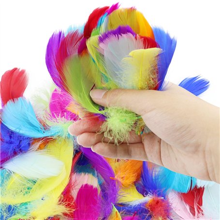 DNDGDLUA Lot de 500 Plumes ColoréEs