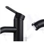 Noir Robinet de Salle de Bain,Noir Mat Mitigeur Lavabo Acier Inoxydable,Robinet de Lavabo avec Eau Froide Chaude Disponible,avec