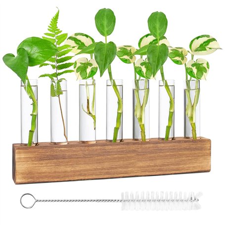 Vase en Verre De Tube À Essai Station De Propagation Vase en Verre Hydroponique avec Support en Bois pour Plantes Hydroponiques