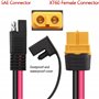 câble XT-60 femelle vers SAE avec 12 AWG pour station d'alimentation de gén