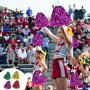 Wxinsheng 8 PCS Pompons Cheerleader,Pompons de Pom-Pom Girl avec Poignée Multicolores Pompons de Pom-Pom de Couleur avec Poignée
