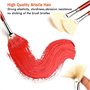 GACDR Lot de 7 pinceaux éventail pour peinture, poils de porc naturels et long manche en bois, pinceaux professionnels pour pein