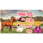 P&K Set de Soin de Cheval Rose Ensemble d'outils pour Jeu de Chevaux