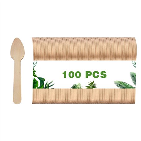 Dazkzooy Cuillères en Bois Jetables
