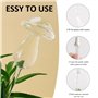 Lot de 3 appareils d'irrigation automatique des champignons, boule d'irrigation des plantes, compte-gouttes en forme de champign