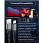 BLITEZZ Câbles de Recharge pour iPhone Cable[2M+2M/Lot de 2], Cable Chargeur Apple Certifié MFi,Fil Chargeur Rapide i Phone Cabl