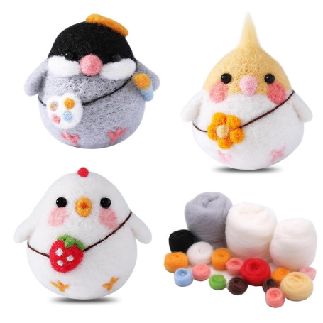 Wzhtuzi Kit de démarrage de feutrage à l'aiguille avec outils