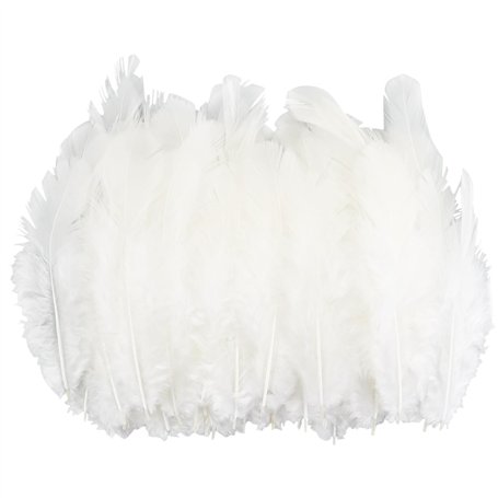 315 pièces de plumes pour l'artisanat