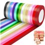 Druuzyl Ruban Satin 15 Couleurs 22m x 10mm - Bande Polyester pour Emballage Cadeaux