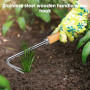 Désherbeur en Acier Inoxydable avec Manche Ergonomique en Bois Arrache Mauvaise Herbe Coutea