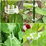 TTPSRY 203 Pièces Kit Attache Plante Jardin Clips Fixation Vigne Anneau Support Tuteur Légume Tomate Fleur Fruit
