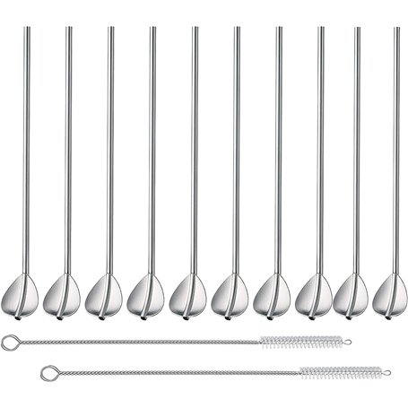 Zosenyer 10 Pièces Cuillère Paille Inox