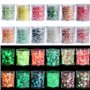 Wenrescry 12 Couleurs Paillettes Fluorescentes – Poudres Chunky et Fines – Visage