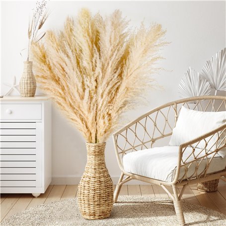 Lot de 10 Pampa XXL – Grandes Pampas séchées Decoration en Fleurs séchées pour Style bohème