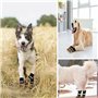 AOOTUERL Lot de 2 paires de chaussettes antidérapantes pour chien - Protection des pattes - Réglables - Antidérapantes - Pour év