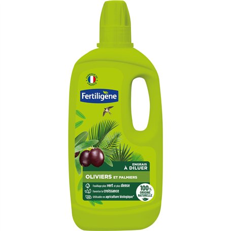 Fertiligene Engrais Liquide pour Oliviers et Palmiers