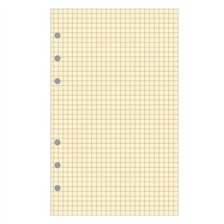 EXACOMPTA Recharge accessoire Exatime 17 bloc quadrillé chamois 40 feuillets 172x105 mm