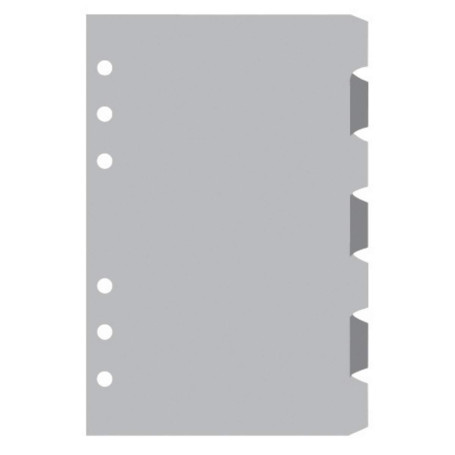 Exacompta - 18222E - Recharge Intercalaires pour Organiseur Exatime 17 - Jeu de 7 intercalaires gris