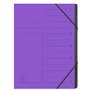 Exacompta - Réf. 540708E - 1 trieur dos agrafé - avec élastiques - couverture imprimée en carte lustrée et intérieur en carte re