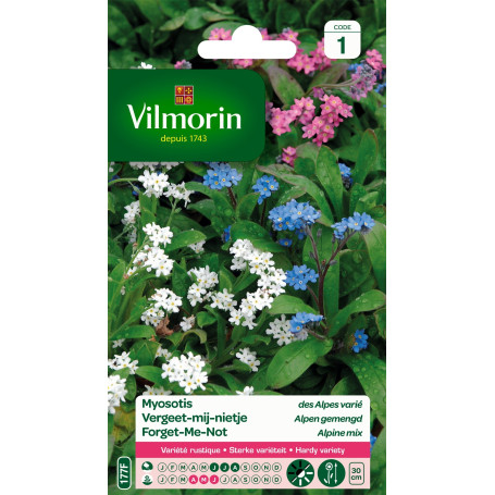 Vilmorin 5380541 Myosotis Multicolore 9 x 0.5 x 16 cm