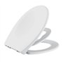 Abattant pour WC en Polypropylène Antistatique